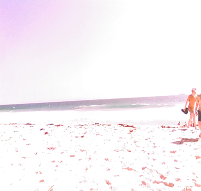 Beach Pic 4